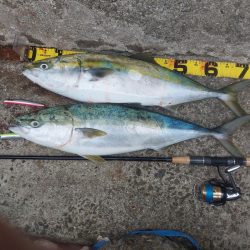 プチsalt water game