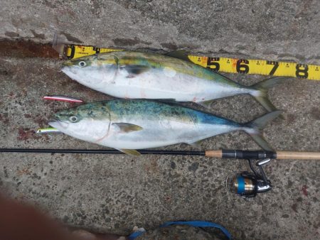 プチsalt water game