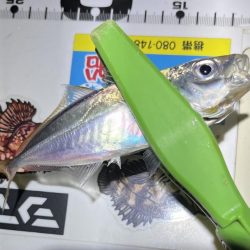 流れが強いアジング