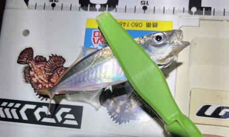 流れが強いアジング