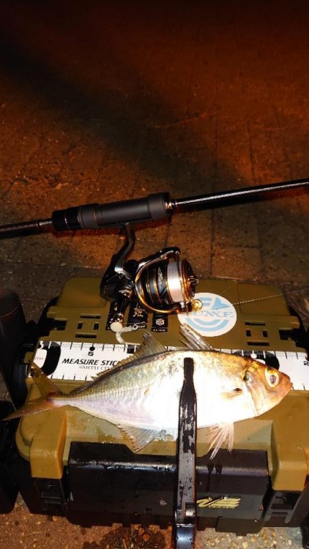 やっと来たねー！