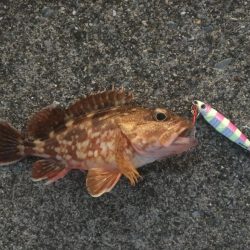 初めてのショアジギング