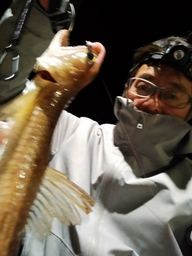 今日の一発目はエソ！！