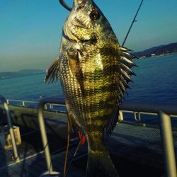 フィッシングパーク光