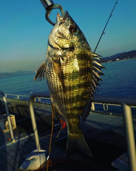 フィッシングパーク光