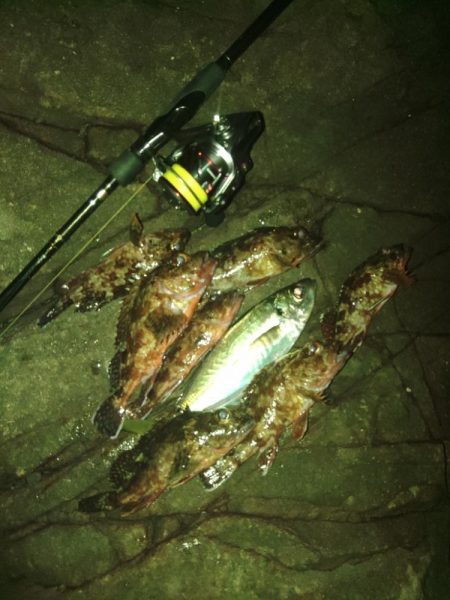 フロートゲーム～