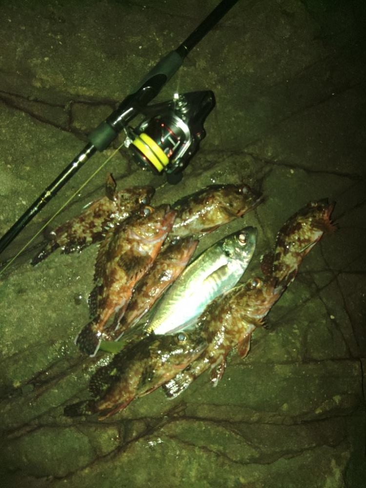 フロートゲーム~