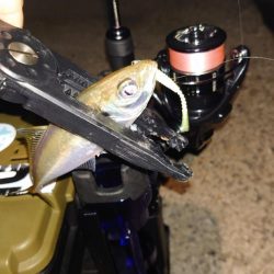 今日はなかなか厳しかったですね。