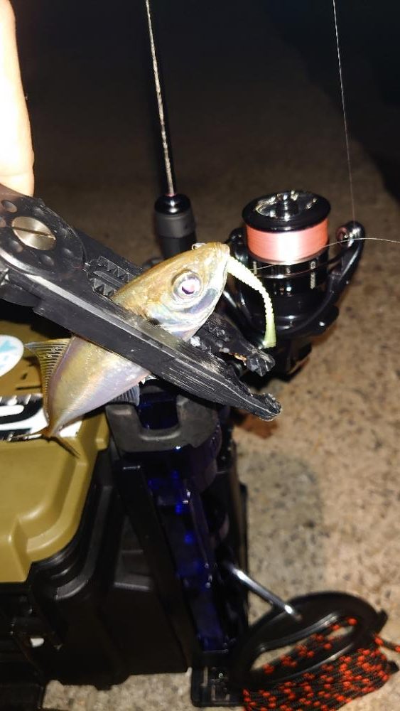 今日はなかなか厳しかったですね。