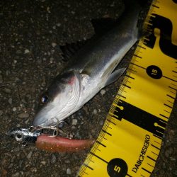 ありがとうチーバス君！