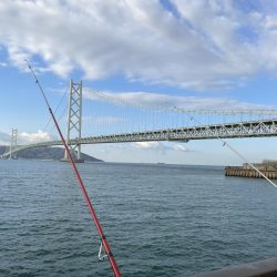 オールノーヒット