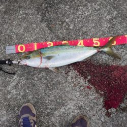 先端でなくても釣れる時もある