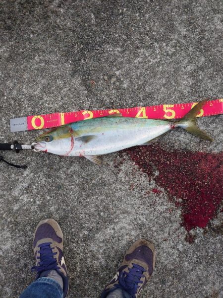 先端でなくても釣れる時もある