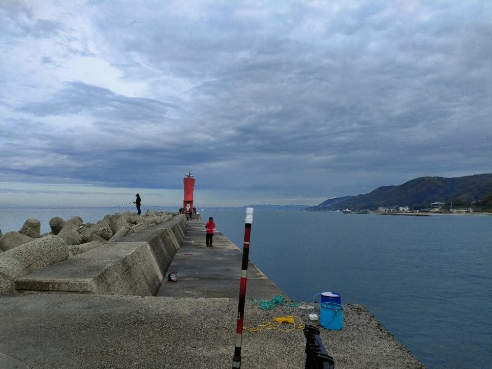 淡路島 豊島漁港でカワハギ仕掛けにコブダイ