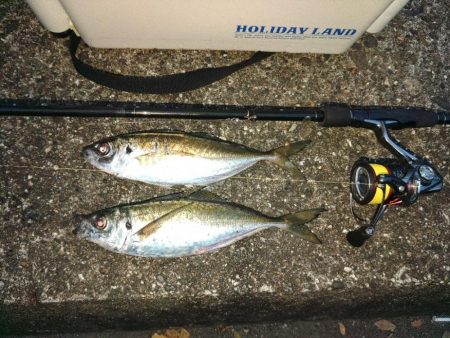 (尺アジ)フロートゲーム～