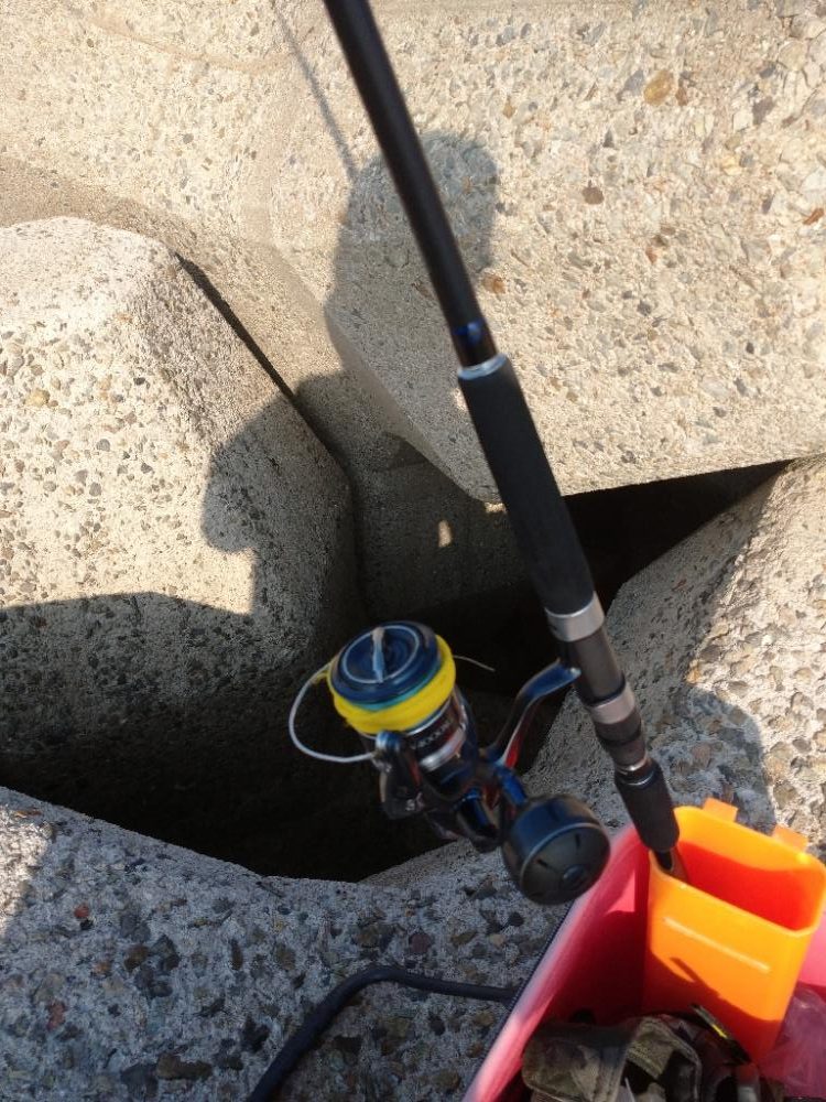 ロッド新調しライトショアジギング