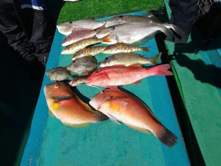 五目狙いの遊動テンヤゲーム