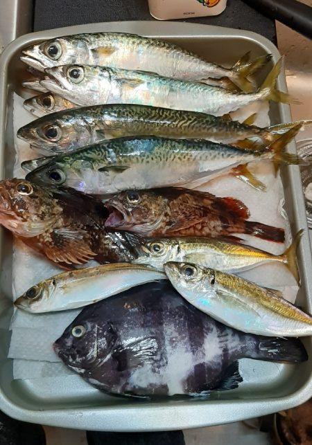 イシダイHIT‼࿠…