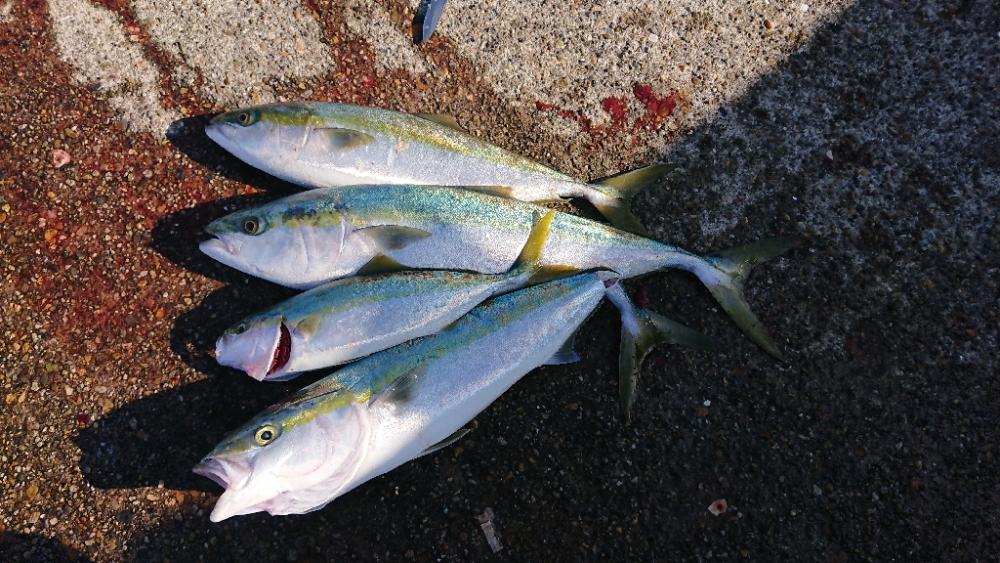 2022播磨遠征第4回