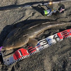 頭のでかさにびっくり