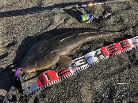 頭のでかさにびっくり