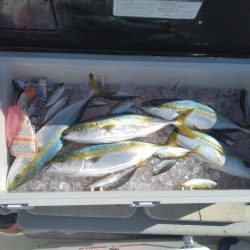 サワキャス（釣行…三回目）