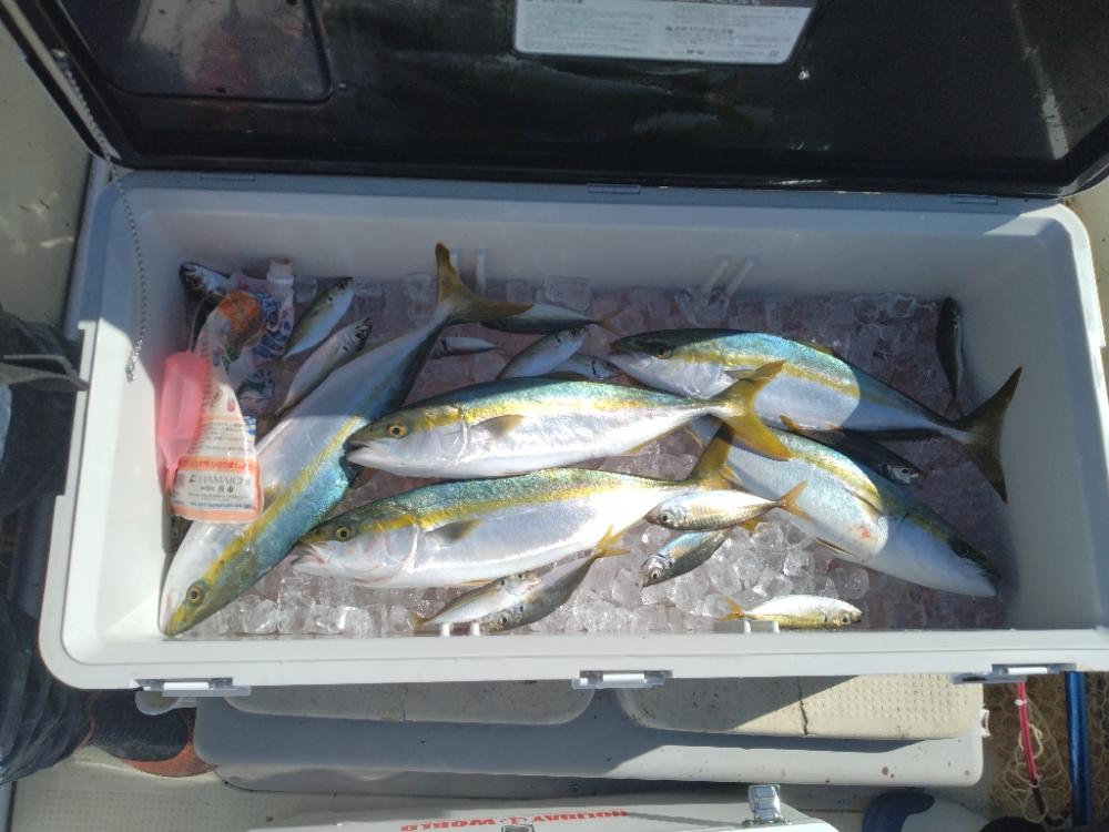 サワキャス（釣行…三回目）