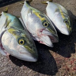 今日も、絶好調でした。