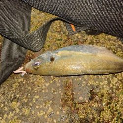 フロートアジング