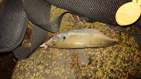 フロートアジング