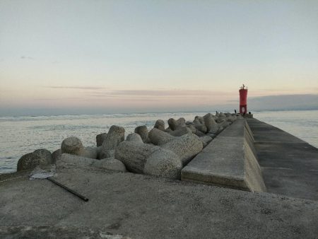 朝まづめ、淡路島の富島漁港にてメジロ