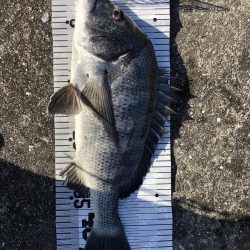 イチノ兄弟（兄）釣果！