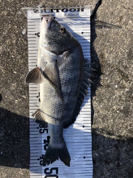 イチノ兄弟（兄）釣果！