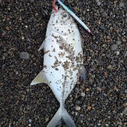 めっちゃいっぱい釣れた