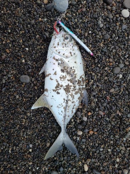 めっちゃいっぱい釣れた