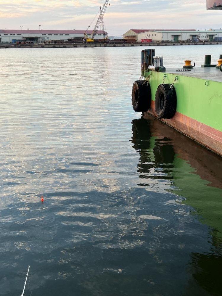 おめでとうございま~すっ!!