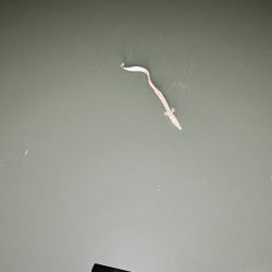 挨拶は大事だよなー