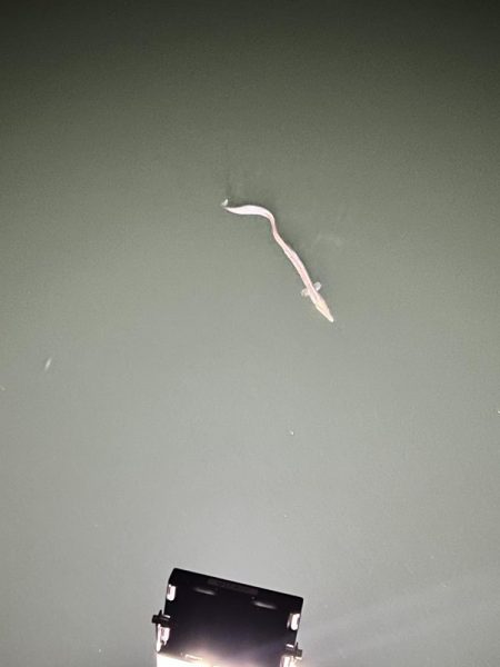 挨拶は大事だよなー