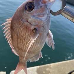 晩秋のエビ撒き