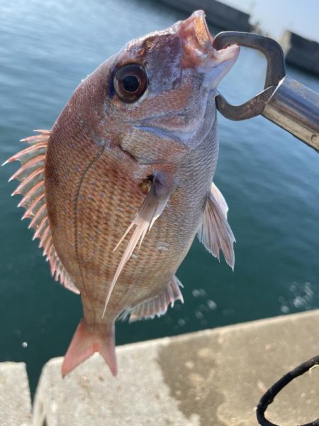 晩秋のエビ撒き