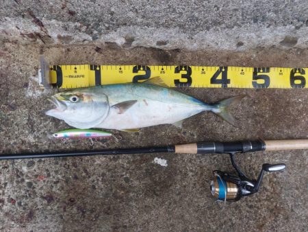 プチsalt water game