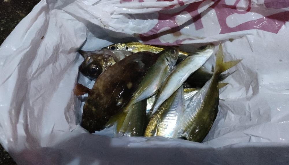 ライトソルト2日目今日も雨