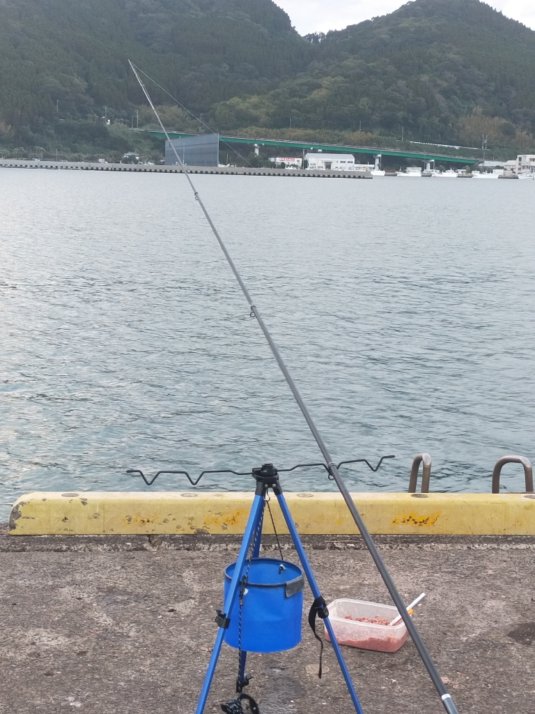 初めての遠投カゴ釣り