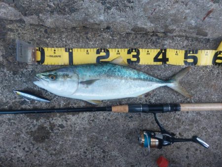 プチsalt water game