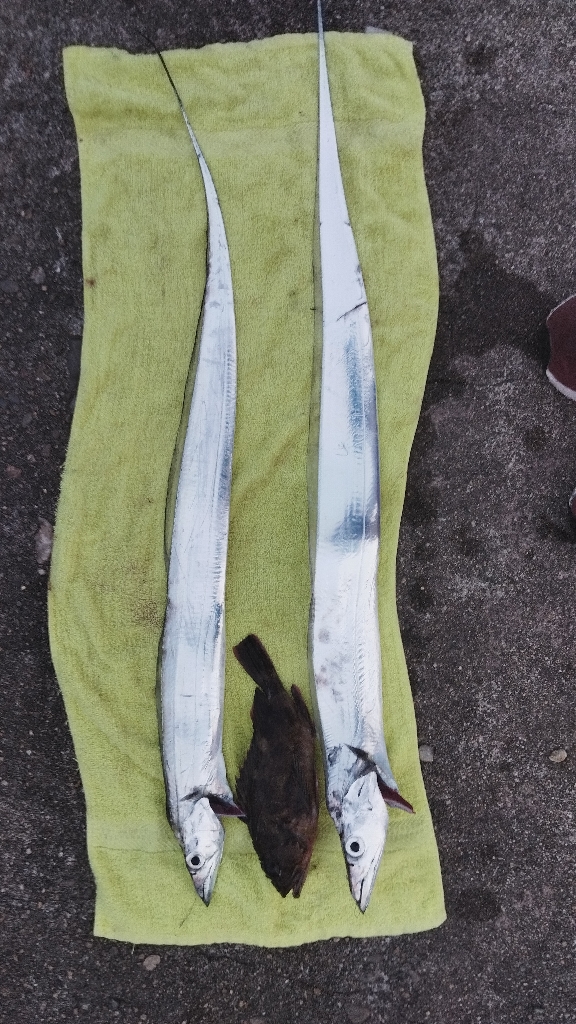 一歩間違えばボウズ