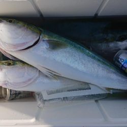 2022播磨遠征第3回