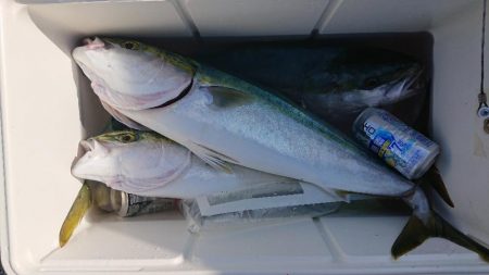 2022播磨遠征第3回