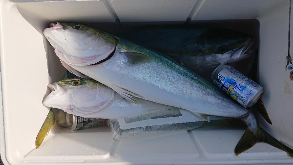 2022播磨遠征第3回