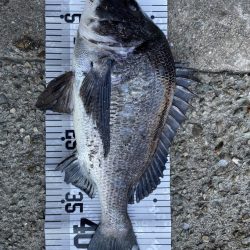 イチノ兄弟(兄)釣果!