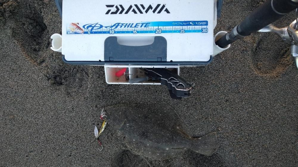 久々のショアジギで釣れたのは?